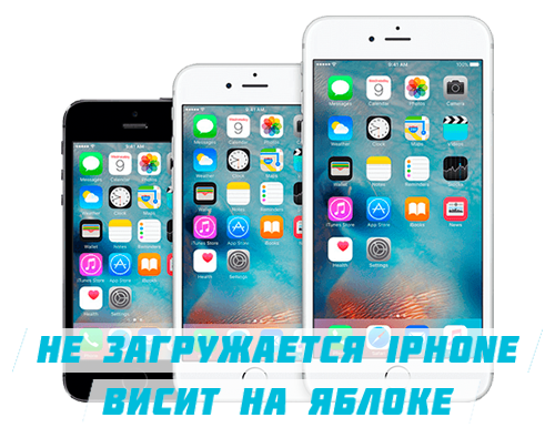 iPhone висит на яблоке что делать